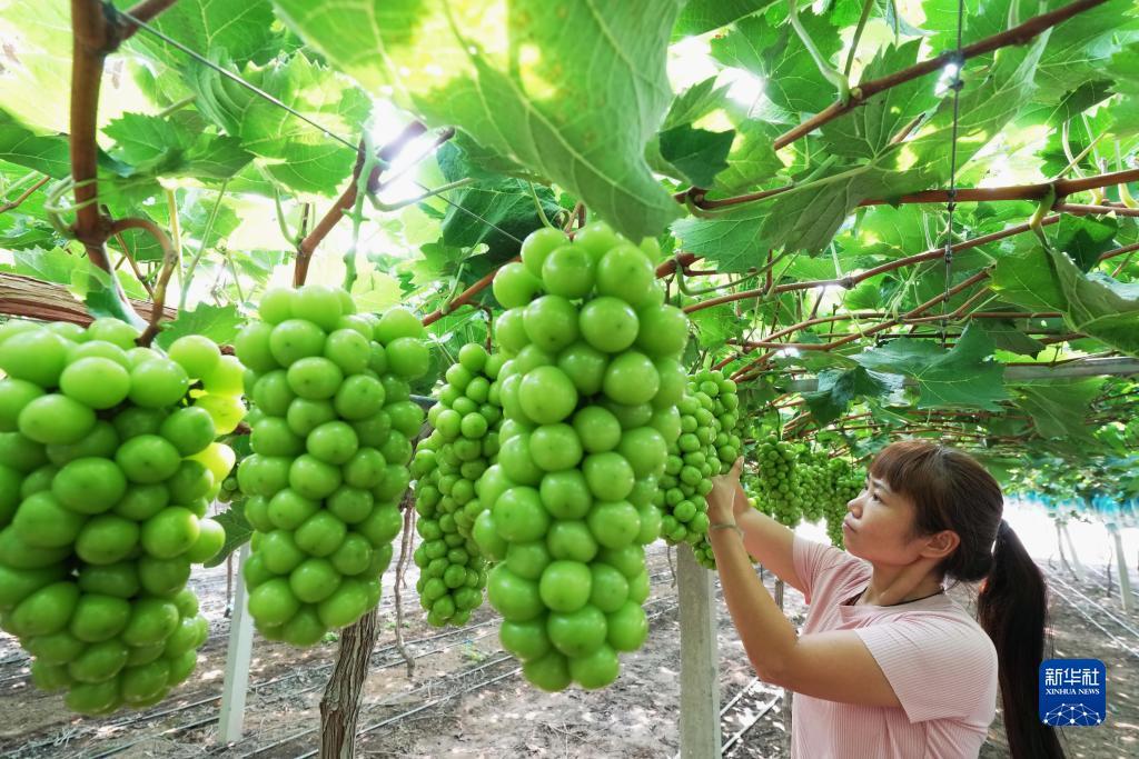 38元彩金